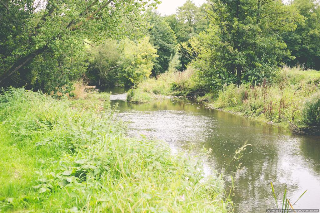 Weycroft Mill House Bed And Breakfast Axminster Luaran gambar